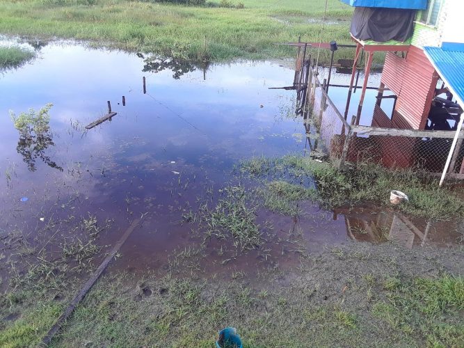 A residential yard flooded again after intense rainfall in Mahaicony 