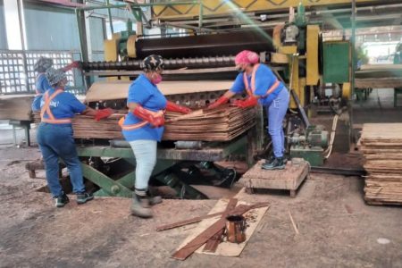 Some of the employees pasting plywood during the production process. More than 40 per cent of the company’s work force is made up of women