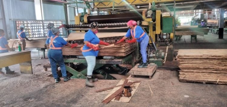 Some of the employees pasting plywood during the production process. More than 40 per cent of the company’s work force is made up of women