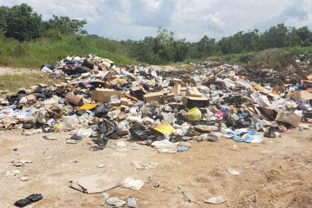 Garbage piled up along the access road last week
