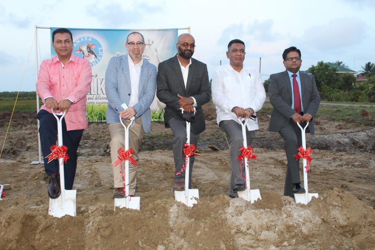  From left are G-Invest CEO Peter Ramsaroop, Canada’s High Commissioner to Guyana Mark Berman, Amaya Milk Company founder Omkaar Sharma, Minister of Agriculture, Zulfikar Mustapha and Minister with responsibility for Finance Dr Ashni Singh at the turning of the sod for the Onverwagt processing plant.
