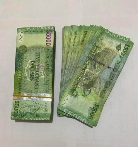 The cash that was offered to the investigating officer