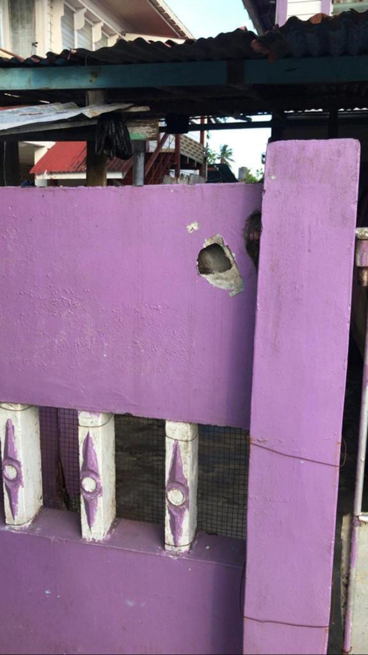 Bullet holes in Corporal Hemchand Sukhna’s fence
