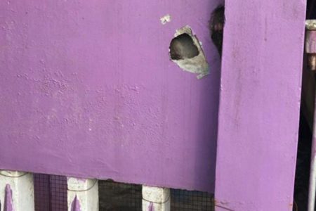 Bullet holes in Corporal Hemchand Sukhna’s fence
