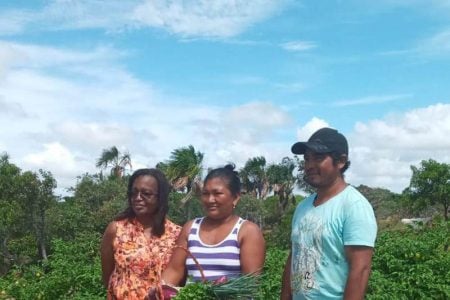 Evenlyn and Aaron with Stabroek Business free lance writer Pauline Stanford (left)