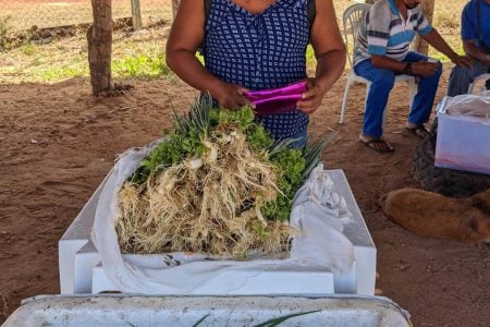 Lethem vendor Evelyn Daniel selling Eschellot at a recent St. Ignatius market day