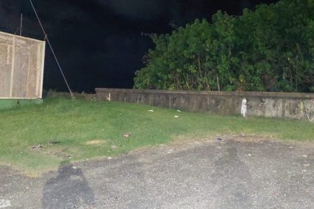 The section along the Kitty seawall where the body was found. 