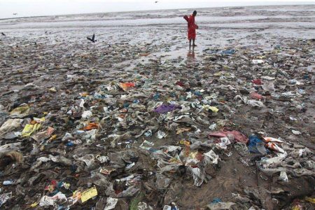 Plastic pollution take out food is littering the oceans BBC