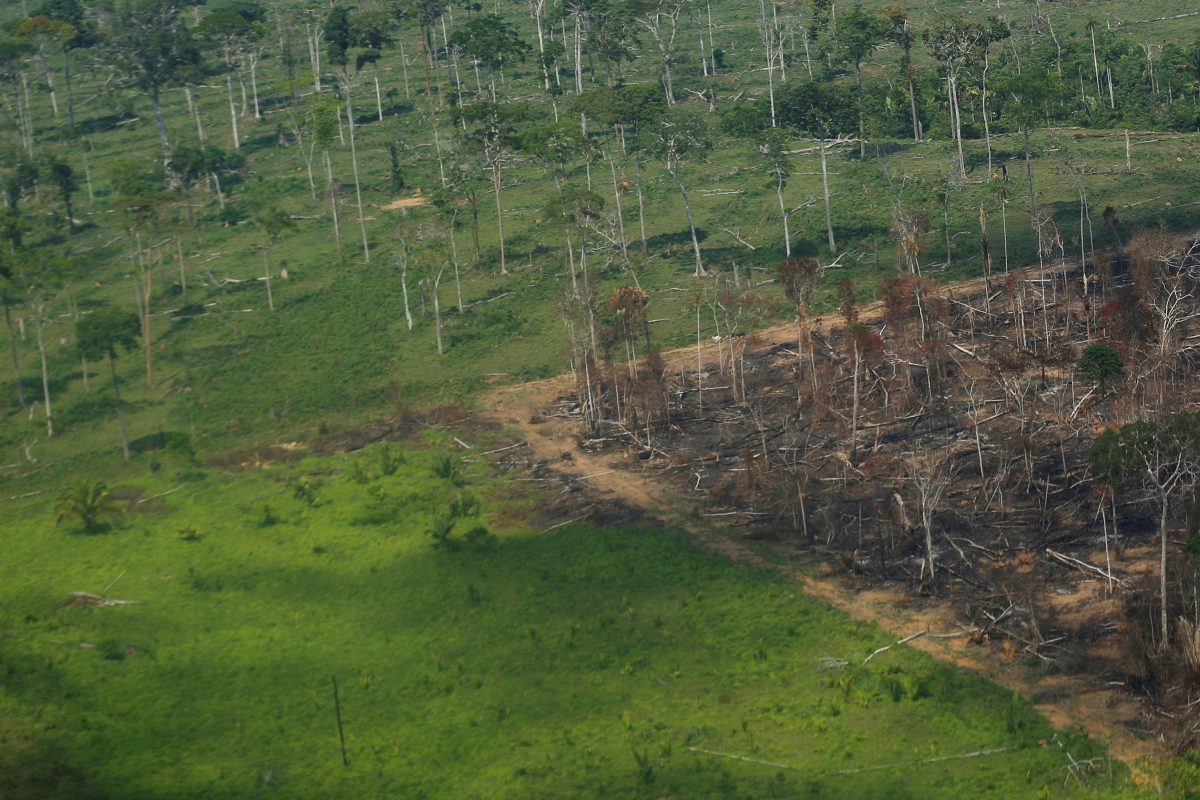 FILE PHOTO: An aerial view shows a deforested plot of the Amazon rainforest in Rondonia State, Brazil September 28, 2021. REUTERS/Adriano Machado