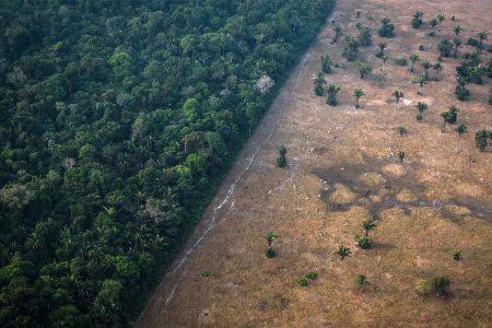 Deforestation in the Amazon dries out the forest, causing the ecosystem to lose resilience. (Bloomberg Creative / Getty Images)
