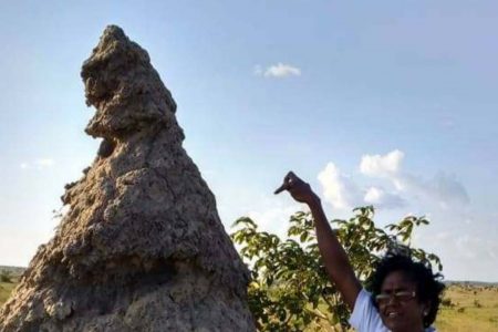 Dhanmattie Sohai poses next to a giant ant hill in the Rupununi Savannah