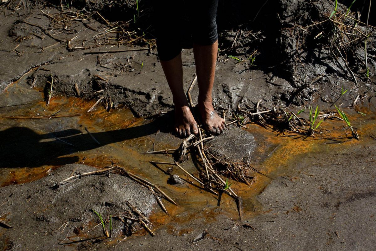 Oil spill along the River Coca, in Ecuador