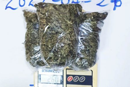 The cannabis that was found 