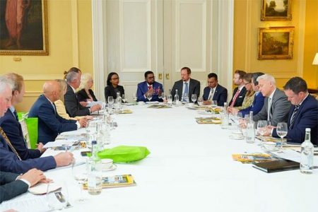 President Ali addressing the recent round table in London DPI Picture