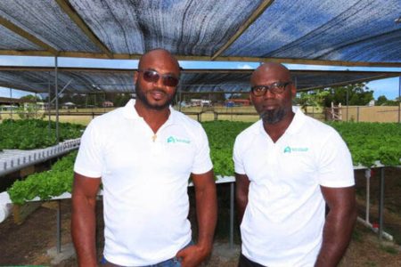 Alfred Brazier of Shaade Hydroponics (left), and Wayne Gardener of Lincoln Farms