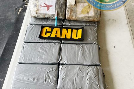 The parcels of cocaine which were found in the container at the Demerara Shipping Limited, Lombard Street, Georgetown yesterday. (CANU photos)