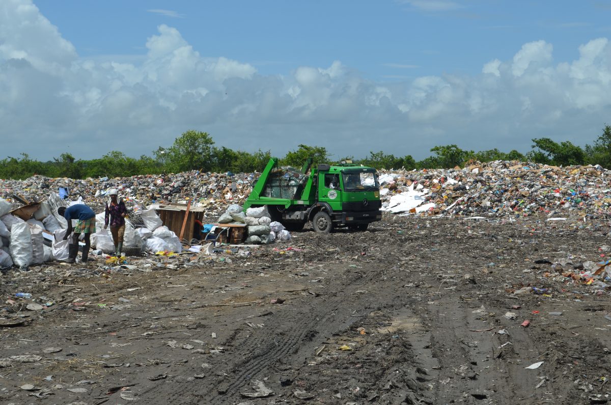 The Lusignan landfill 