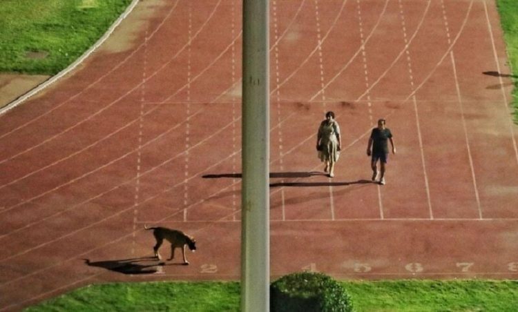 The official walks his dog at Delhi's Thyagraj Stadium. — Picture courtesy: Indian Express
