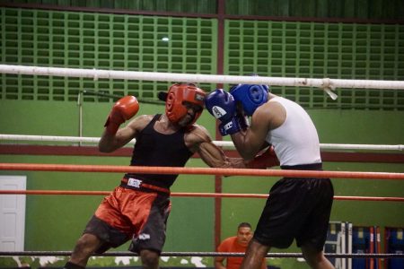 Guyana Police Force Gym’s Donovan Richardson lands a hard body shot to welterweight foe, Trevor Motielall of the Forgotten Youth Foundation Gym in a crowd pleasing punch fest last night at the National Gymnasium. (Emmerson Campbell photo)