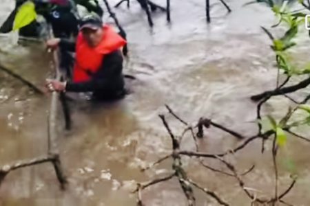 One of the passengers holding on to a branch