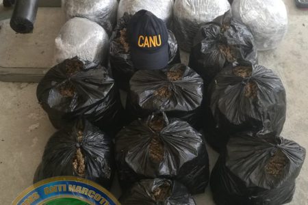The garbage bags with cannabis (CANU photo)