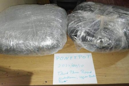 The parcels of cannabis that were found in the vehicle’s trunk. 