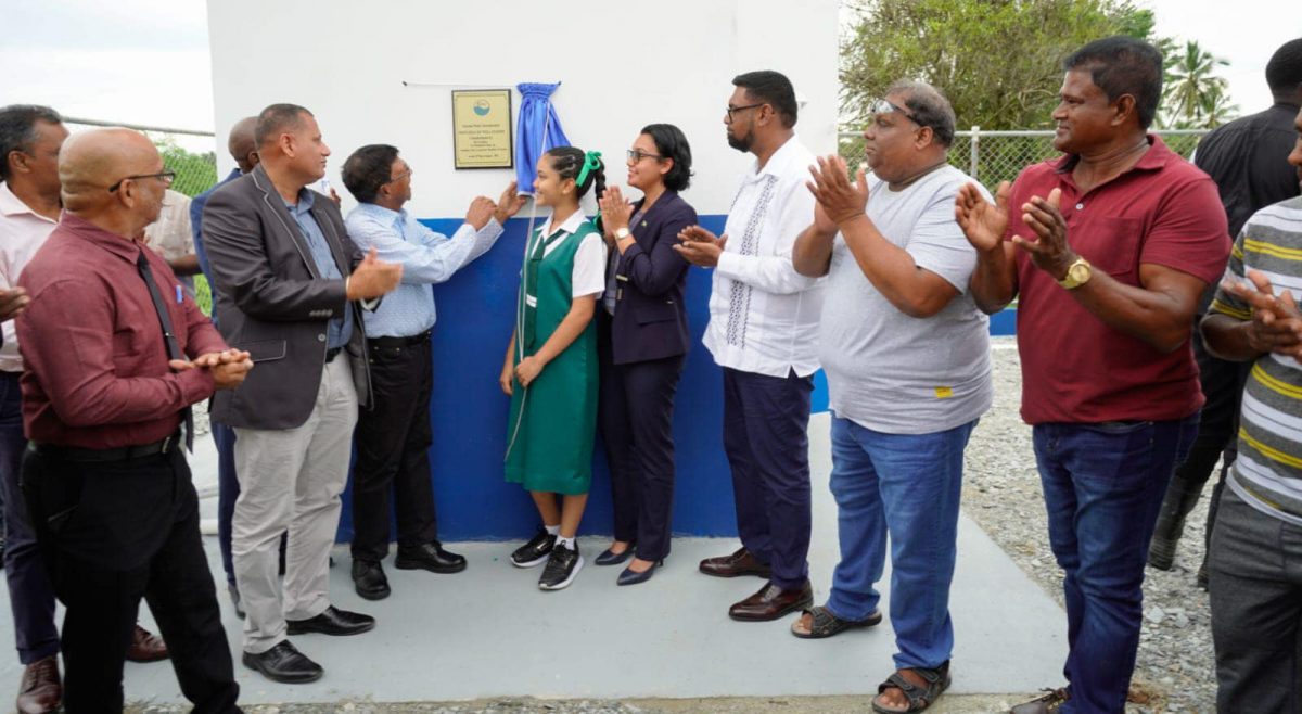 The plaque marking the commissioning of the Noitgedacht Well Station is unveiled (Office of the President photo) 