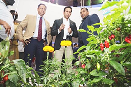 George Singh, left, Minister of Rural Development and Local Government Faris Al-Rawi, centre, and Minister in the Ministry of Agriculture, Land and Fisheries Avinash Singh look at a display of hydroponic plants by Plant Doctors HydroAqua at the Agriculture & Food Expo at the Gulf City Shopping Complex, La Romain, yesterday.