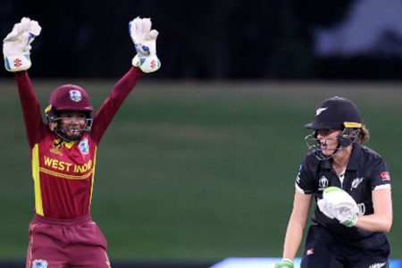 West Indies Women and New Zealand Women set to renew their rivalry on Caribbean soil.
