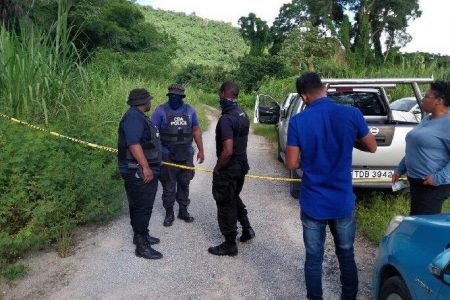 Chaguaramas Development Authority officers at Guave Road, off the Tucker Valley Road, Chaguaramas, following the discovery of the bodies of two bullet-riddled and bound men yesterday.