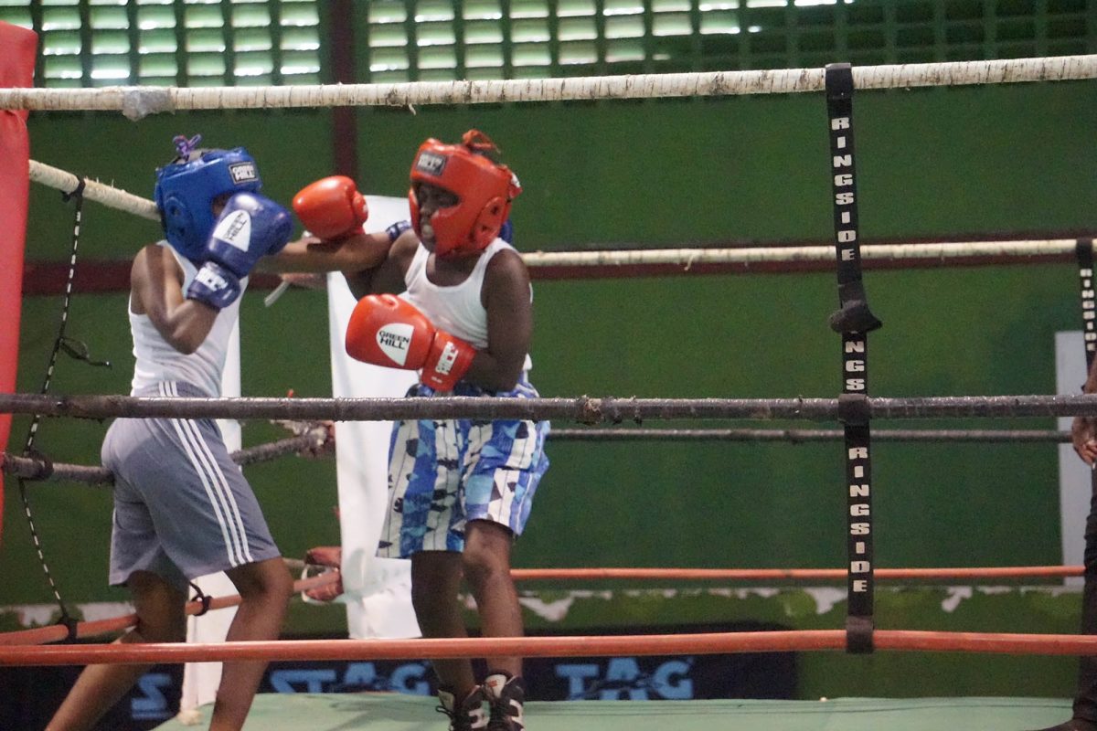After two decades, amateur boxing returns to Rose Hall Town (Emmerson Campbell photo)
