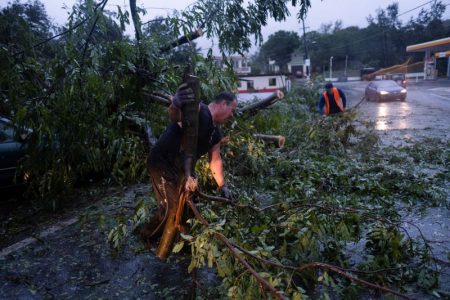 Clearing trees in Puerto Rico (Reuters photo)