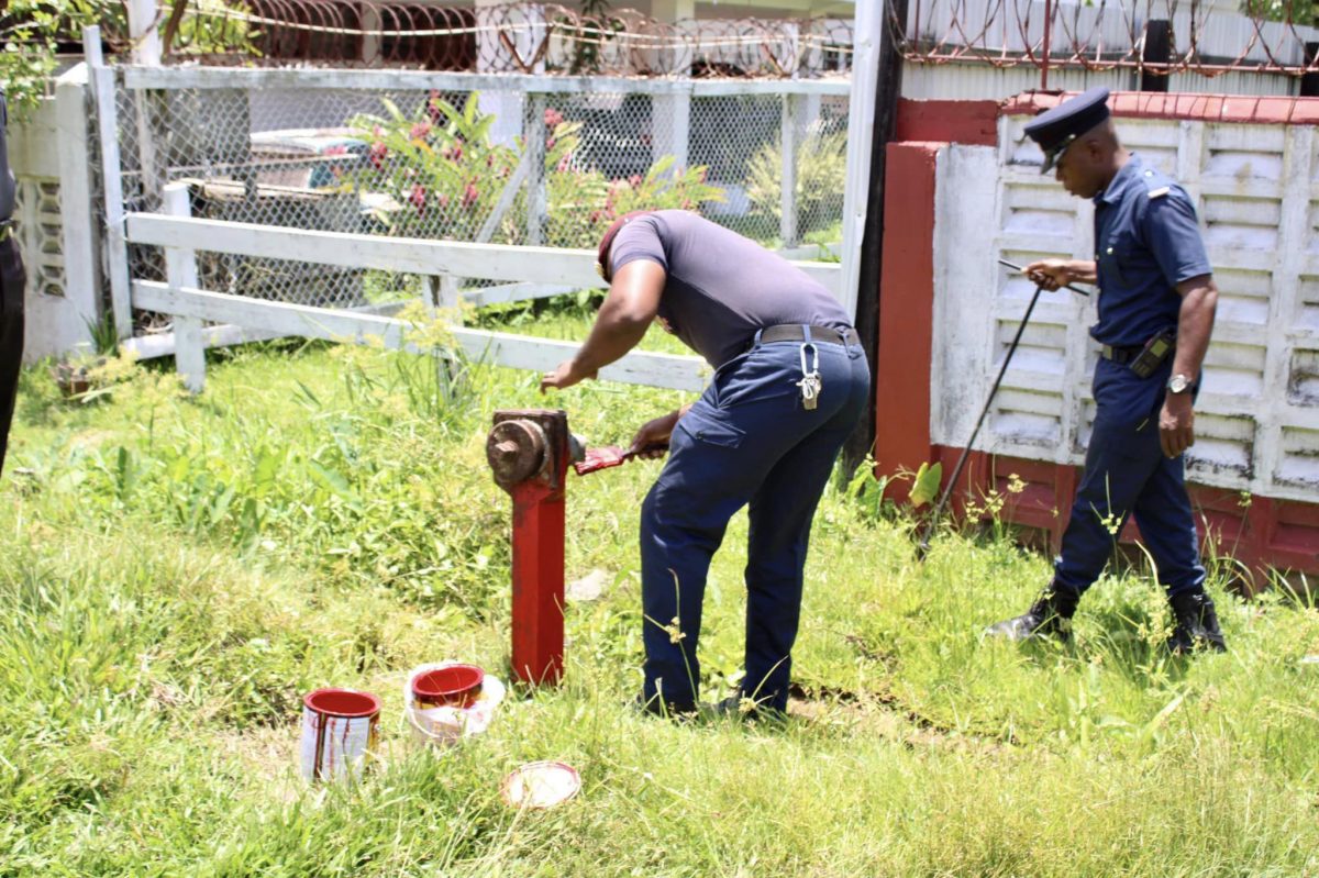 A fully functional fire hydrant being painted in red