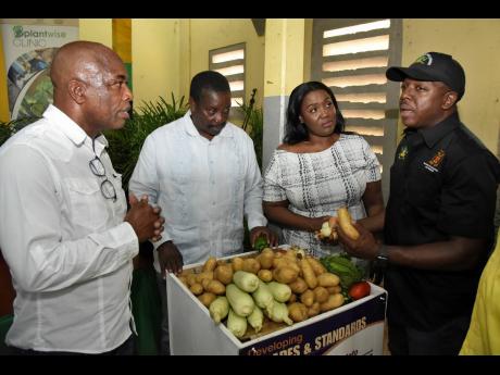 Pearnel Charles Jr (right), minister of agriculture and fisheries, quizzes Loxley Waite (left), national coordinator for the Irish potato and onion programme in Jamaica, on best practices for cultivation. Also in photo are Robert Montague, member of parliament for St Mary Western, and Kerensia Morrison, member of parliament for St Catherine North Eastern. They were attending Wednesday’s launch in Guy’s Hill.