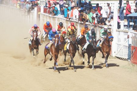 The Rising Turf Club will play host to the President’s Cup tomorrow, one of the
nation’s biggest horse race meets. (Emmerson Campbell photo)
