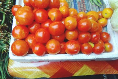 English tomatoes at Stabroek market
