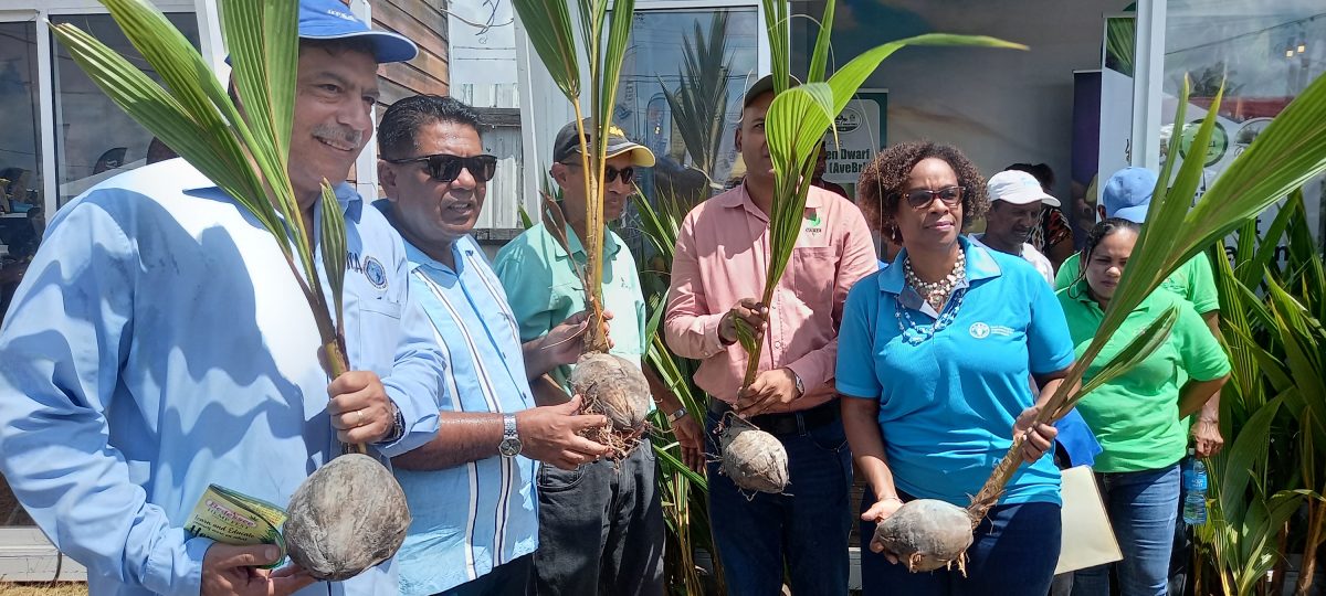 Agriculture Minister Zulfikar Mustapha (second from left) and others with coconut seedlings.