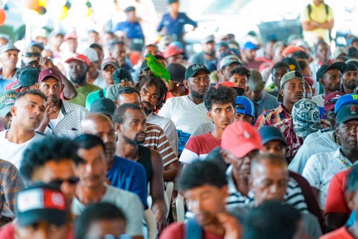 Some of the private cane farmers (DPI photo)