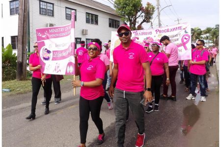 Scenes from the walk and health fair (Ministry of Health photos)
