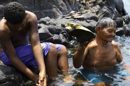 Old and young indigenous people hold tracajá turtles at Jericoa, a sacred site with a confluence of waterfalls and rapids on the Volta Grande in the River Xingu, Pará, Brazil, Sept 16, 2022.Thomson Reuters Foundation