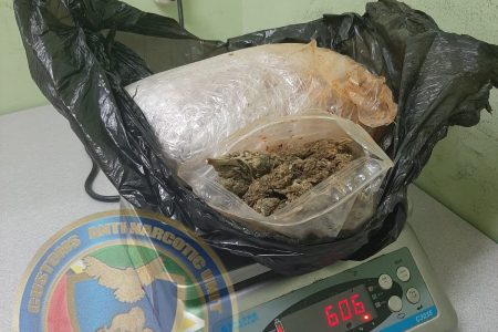 The marijuana that was found

