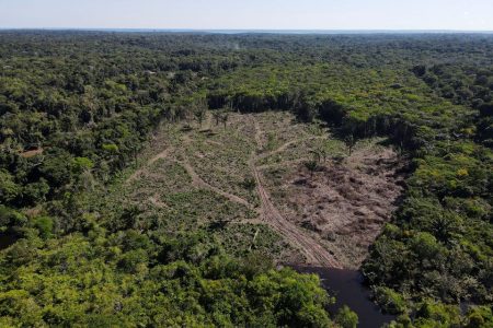 An aerial view shows a deforested plot of the Amazon rainforest in Manaus, Amazonas State, Brazil July 8, 2022. REUTERS/Bruno Kelly/File Photo