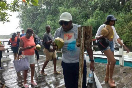 Adels Rainforest Resort of  Akawinni Creek Pomeroon River Tourists welcome with refreshing coconuts water.