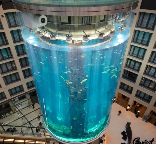 What the aquarium looked like (BBC photo)