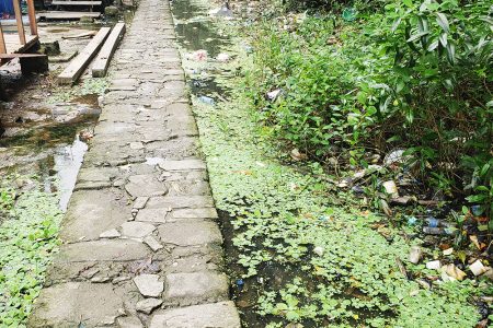 The pathway used to access the houses