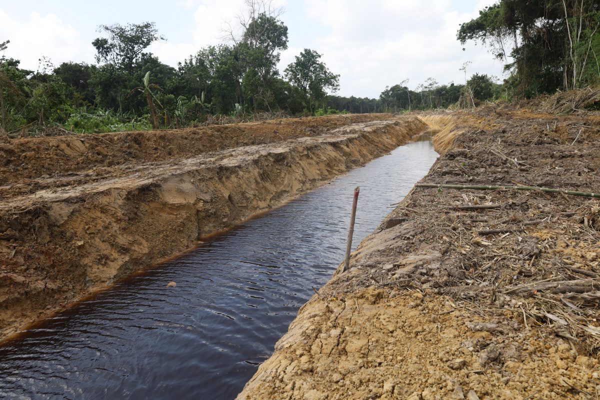 A section of one of the canals dug after a request to President Irfaan Ali (Ministry of Agriculture photo)