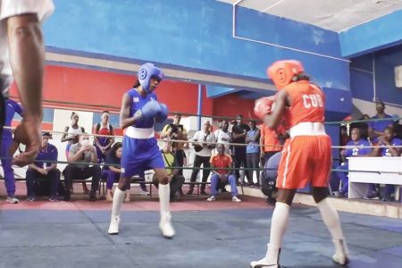 Cuba held bouts in seven weight categories late last year to
decide which women will represent their country.