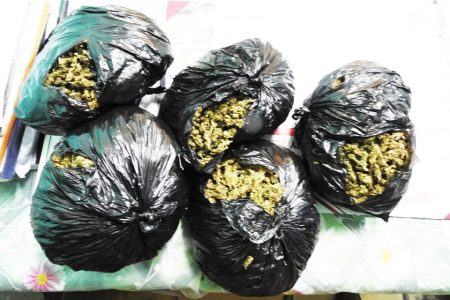 The marijuana that was found (Police photo)