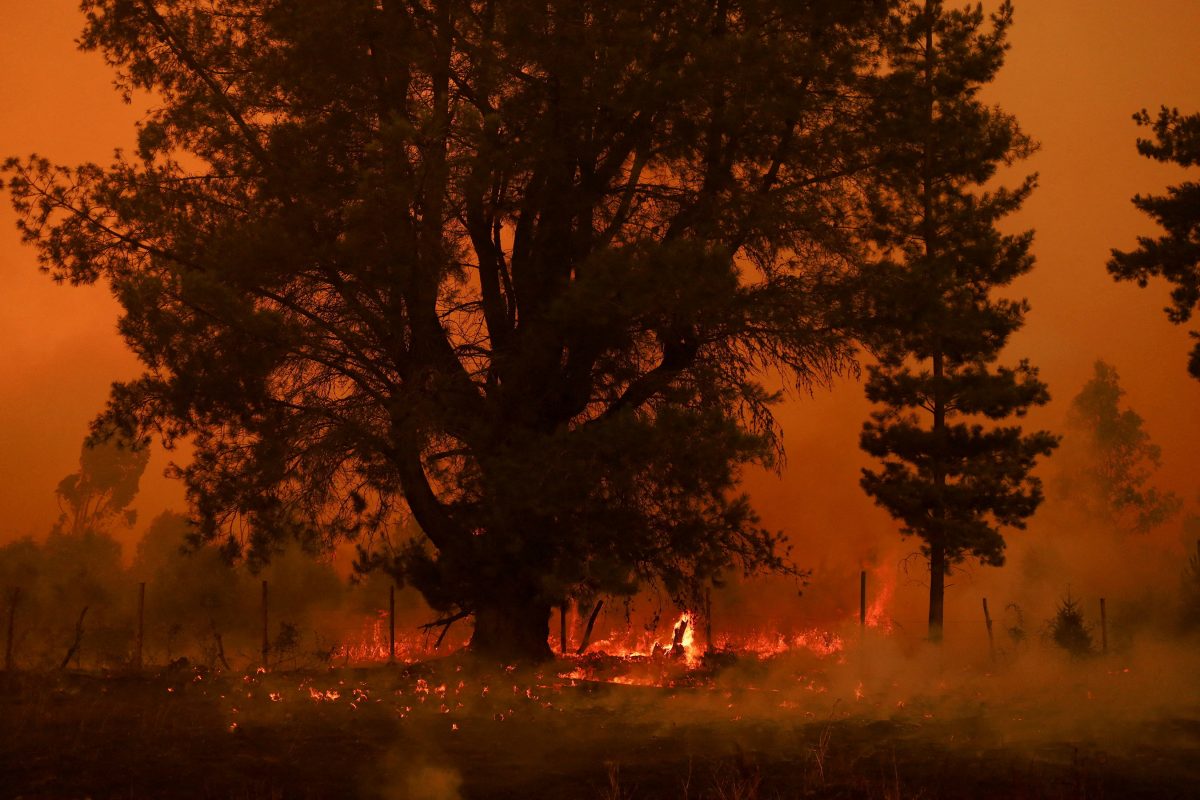 A wildfire burns areas in Santa Juana, near Concepcion, Chile, February 4, 2023. REUTERS/Ailen Diaz