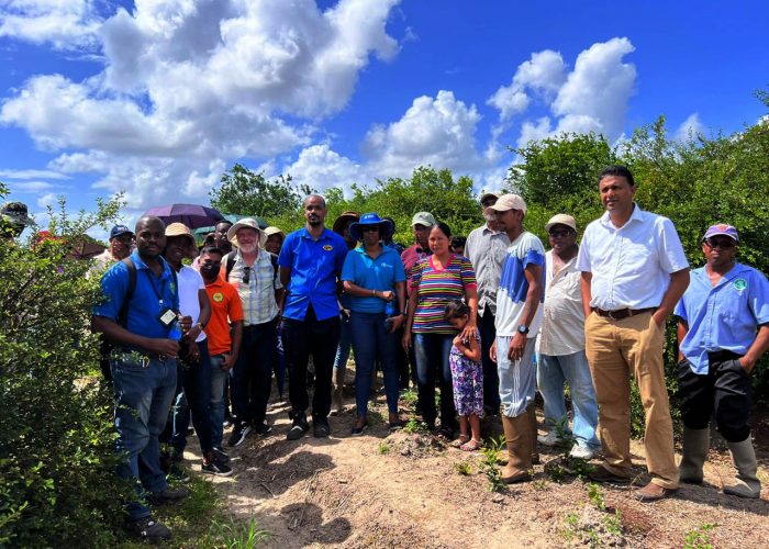 Farmers and producers on a field visit